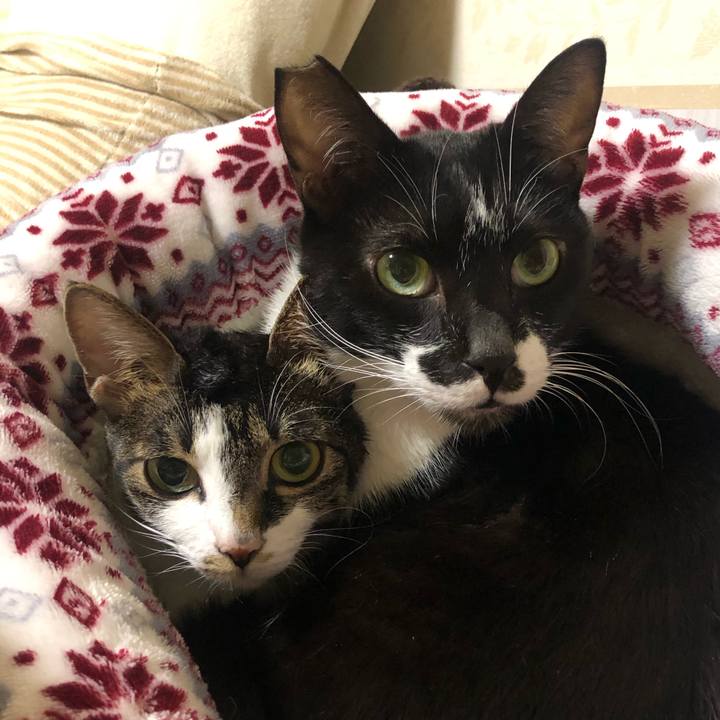 55dd8c64 8d82 4fcc ba65 9824c7137628 1603952707169