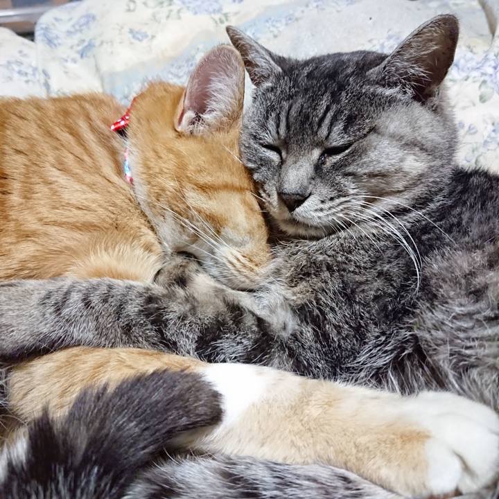 55ddb5db 8bda 4edb 9212 cd8d44ecabad 1576415178954