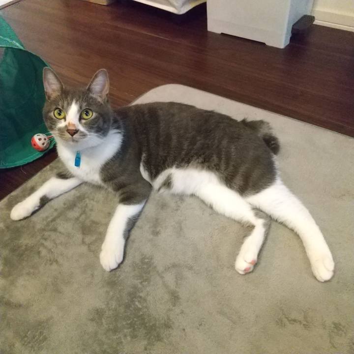 55ddd964 05fc 42a9 88cb 237bc134dd53 1600471431962