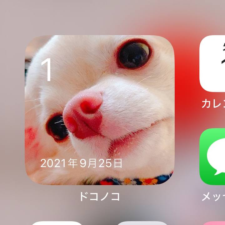 55dddec6 87ae 416c 8a8a fd637ae612d5 1727783087400