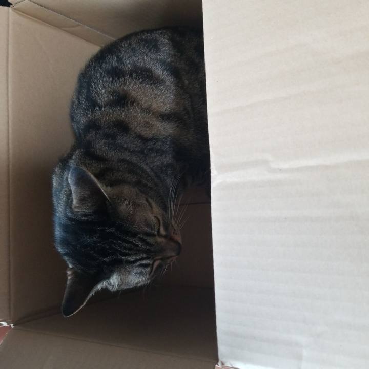 55dde5ad 0670 4ac1 9257 ddf505b7e450 1593308955182