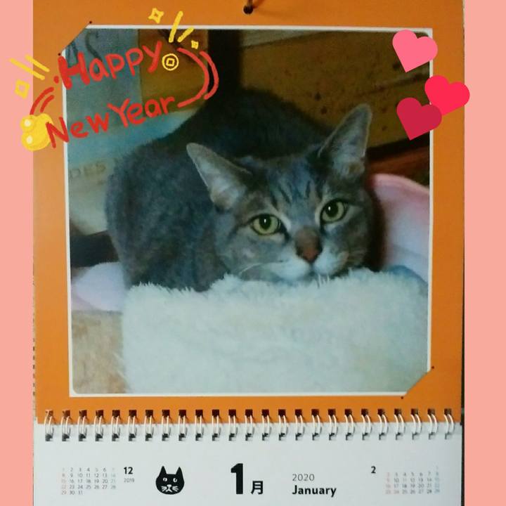 55dde5e2 8d20 47d1 a569 53770ef4da89 1577889571176