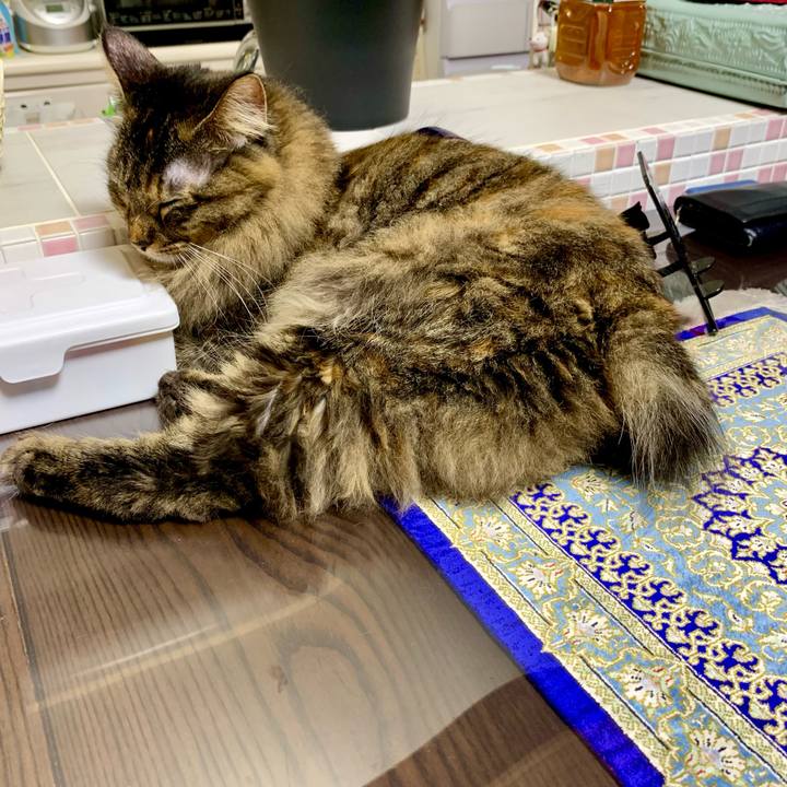 55dde85f efc3 43a8 9d3a 1040253b5f96 1664108581555