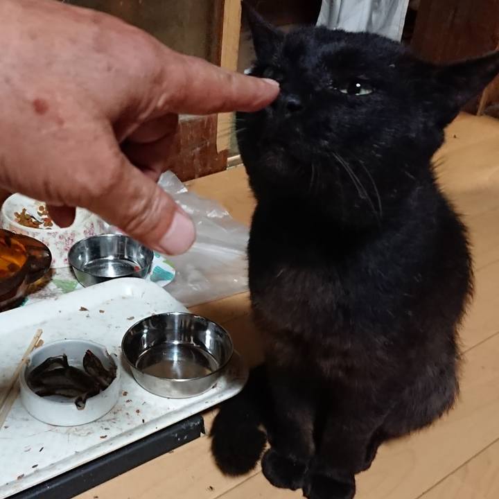 55ddf4ee 44bf 4509 9cd4 06e6c6a62836 1625742700325