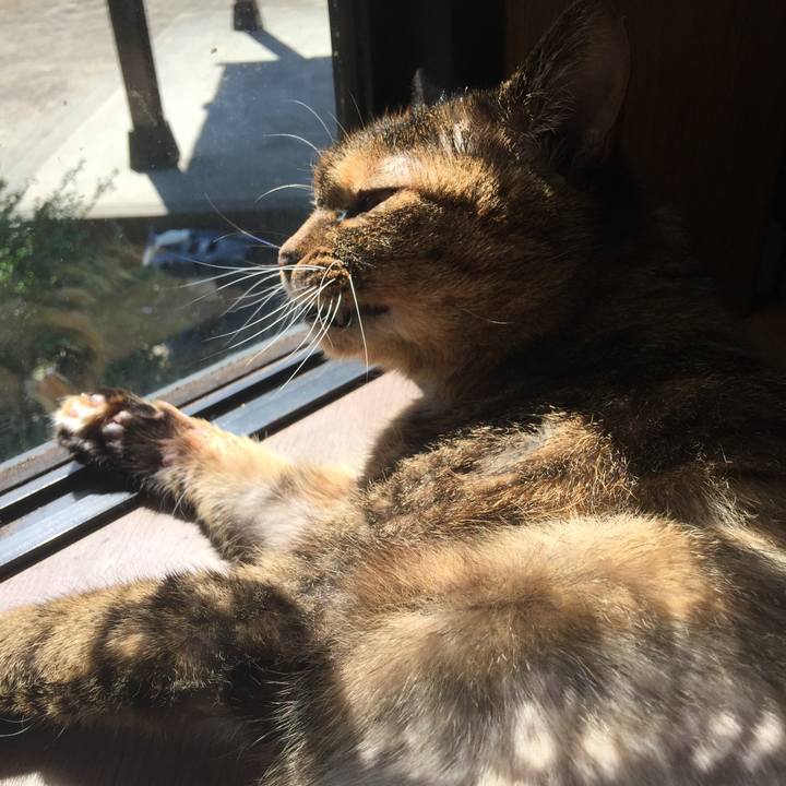 55de2fba c2bb 4082 9942 32086f69a431 1560834236389