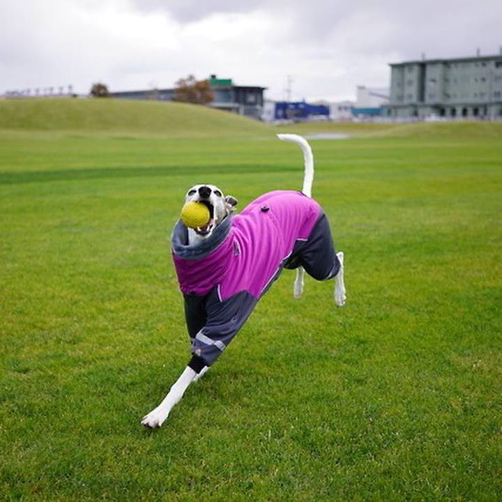 55de4cf3 b4eb 45db 9390 ddc236d38350 1542622346582