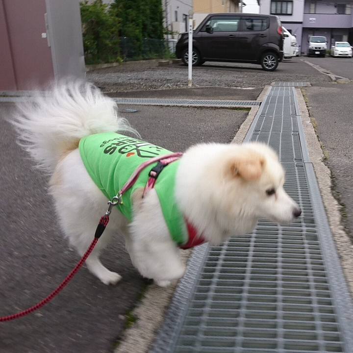 55de8930 409c 4d5d bbdc 24cf78887700 1538171144483