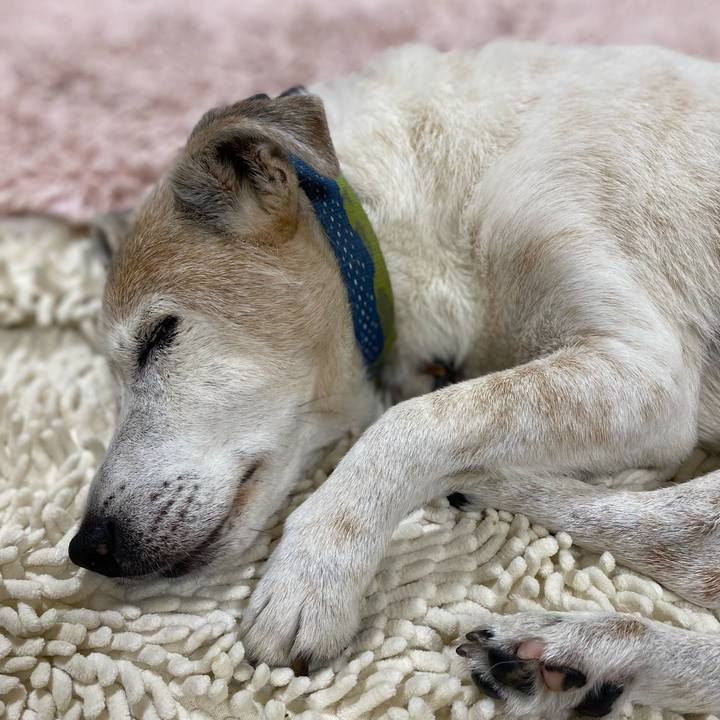 55de9586 0afc 490b 8a6b 239bed4dfa0c 1724419633815