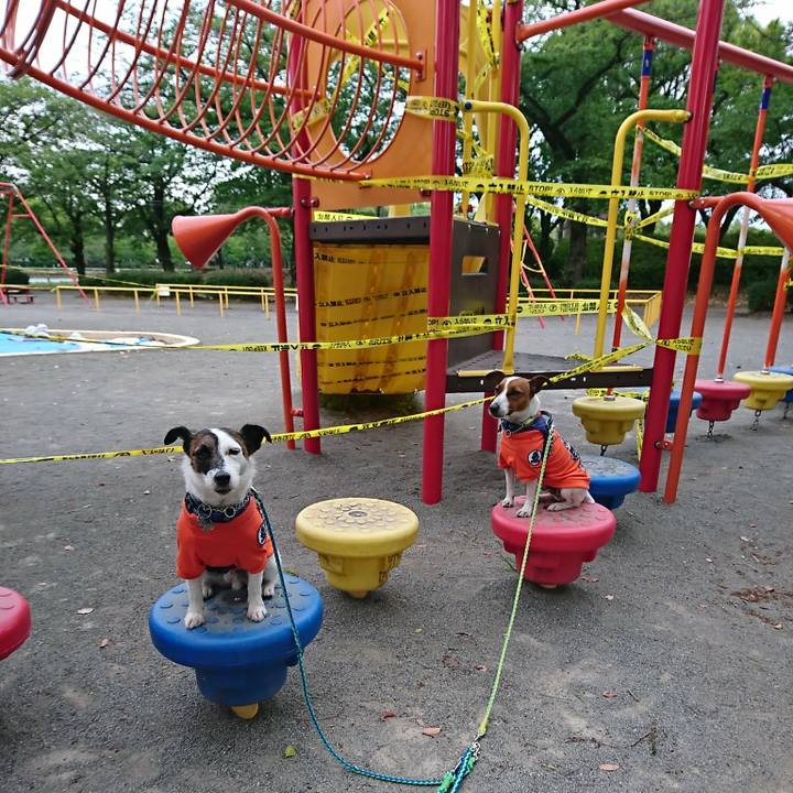 55deb970 8de7 47d4 a076 bbd04aa51f38 1588500700479