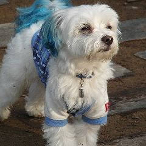 55debe6f 9a7b 49c1 a4ca 968596279cef 1516373532537