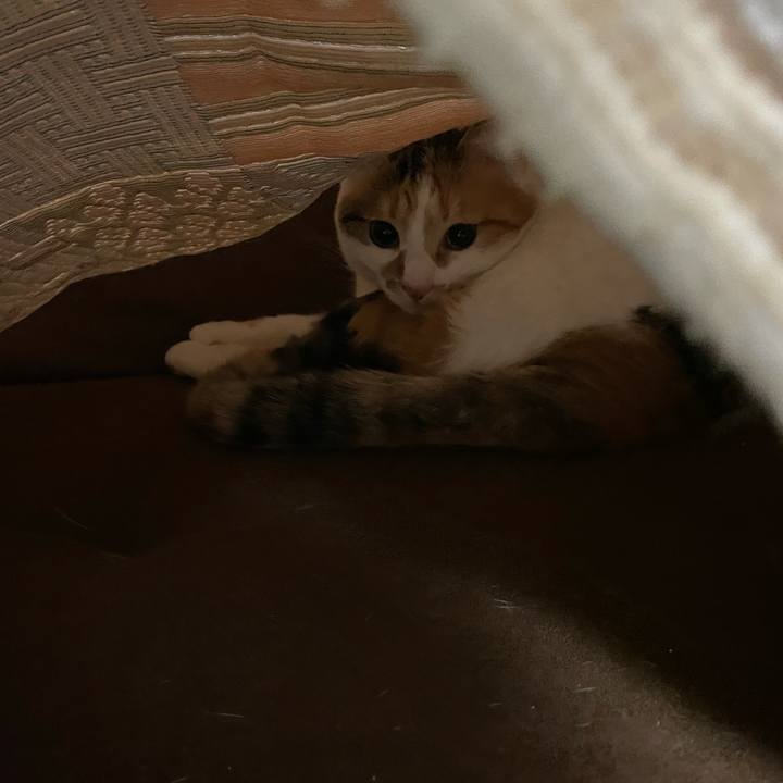 55debe86 edb2 465c ab29 579c10b2fff6 1613489155637