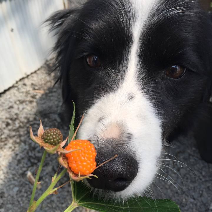 55ded7fe 9cfd 47d2 bb82 7b81a0ccd123 1557623367575