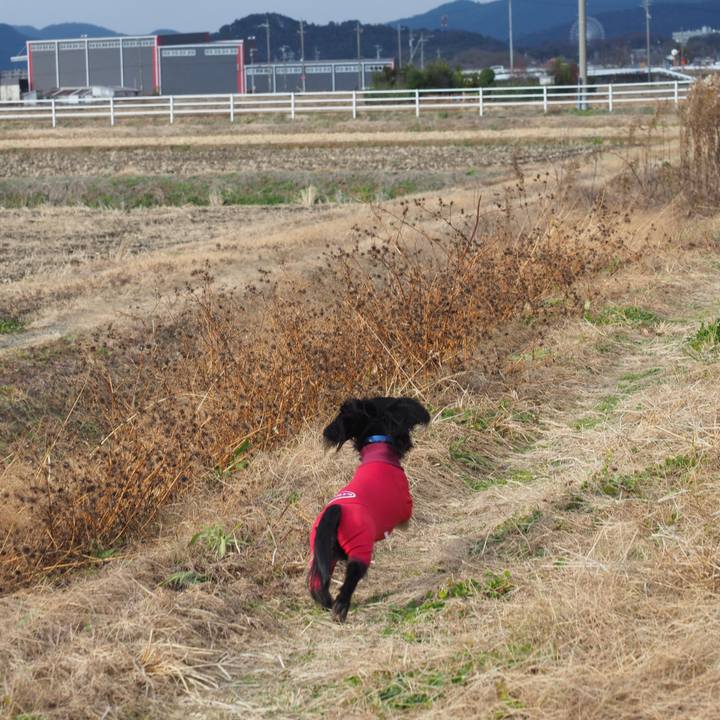 55deda7a 4d72 49a5 b606 80cea5e46e55 1609570147983