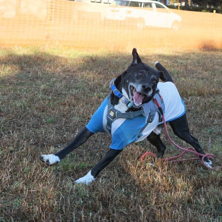 55dedfa8 f70f 4530 b93f 60826e47768a 1763079902324