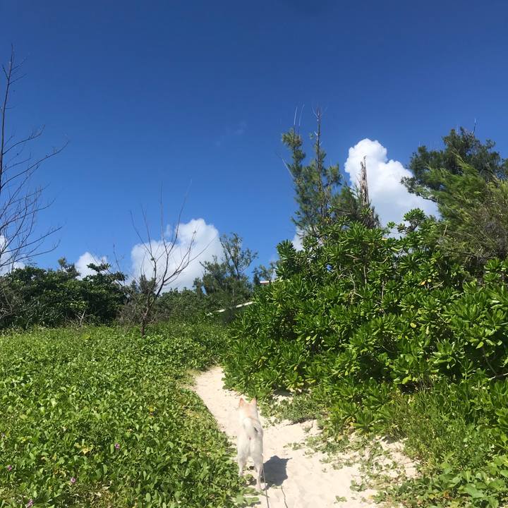 55df0b99 81c9 4a4c 83c6 e43cad15f639 1537170637718