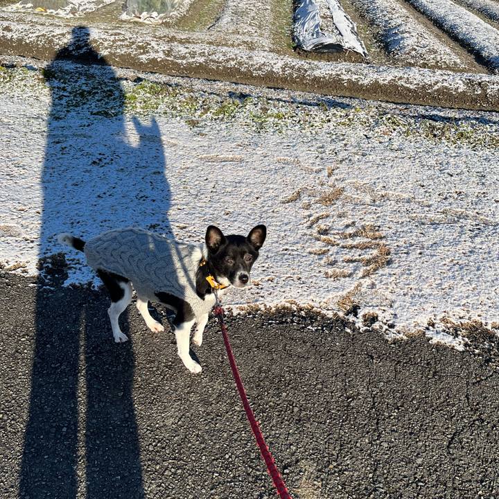 55df2822 e430 47bc ab24 aff85d66e0a8 1671796031882