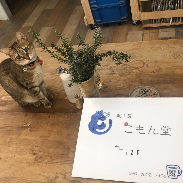 55df65a2 d673 4065 b430 f0f3c79c8bac 1645573525742