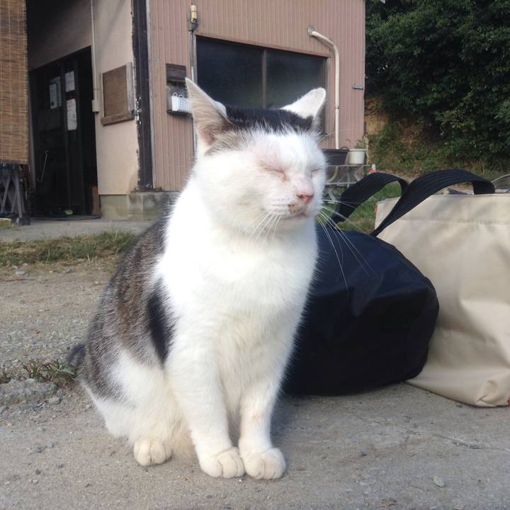 55df72d2 0517 421f aeb3 06423ccc86e7 1539690606514