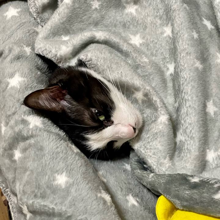 55df760d b396 4601 8c81 de7d91d486b9 1663884417693