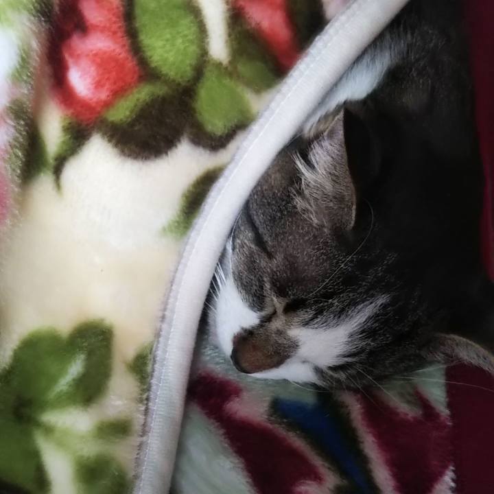 55df92f9 fa99 4856 8376 881be01d4df0 1637465656714