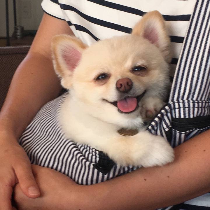 55dfd997 ec39 4ae2 bda9 0b6584b31bf4 1568506343680