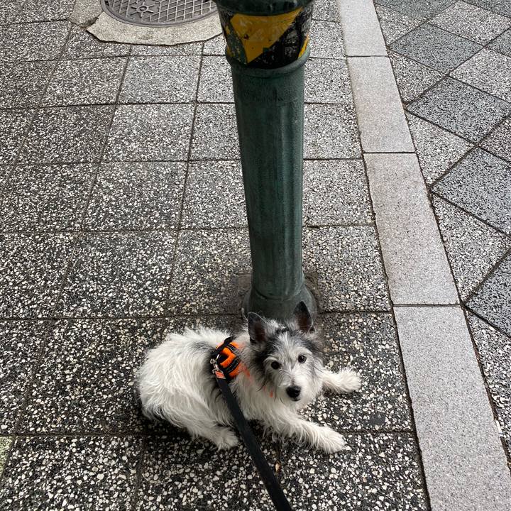 55dfe887 9ce7 4436 aef8 3e4c2aaa4cfa 1586090215531