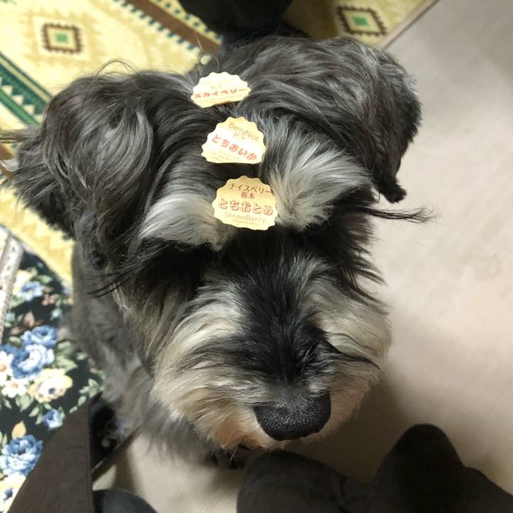 55e013da 73ca 4743 8166 52b4363dfb20 1643198403086