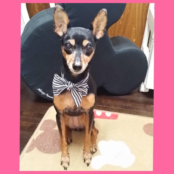 55e016d0 34b7 4492 a21a 0e8fdee6fd4f 1770815975792