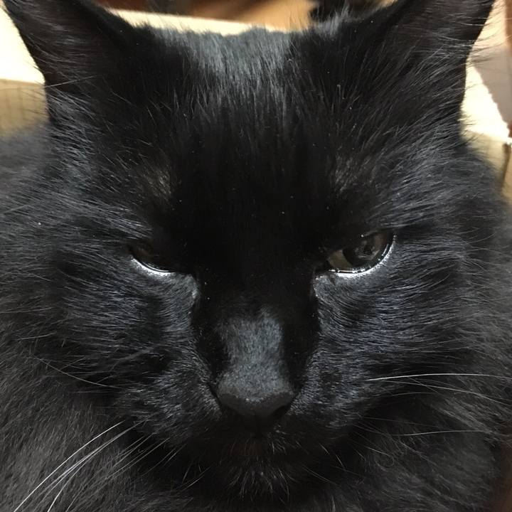 55e03170 ffb6 47ca 814d ad2099154e0d 1546343066925