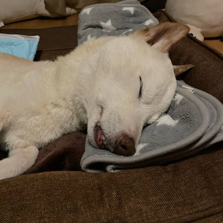 55e05859 859a 4b78 b4c3 b759834f5e09 1666188202228