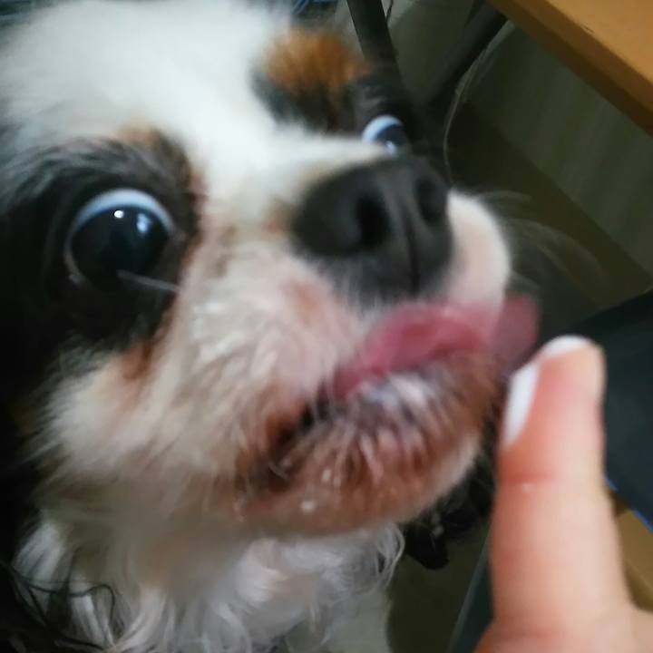 55e07386 1347 4a65 9390 23d64f50c318 1517286723397