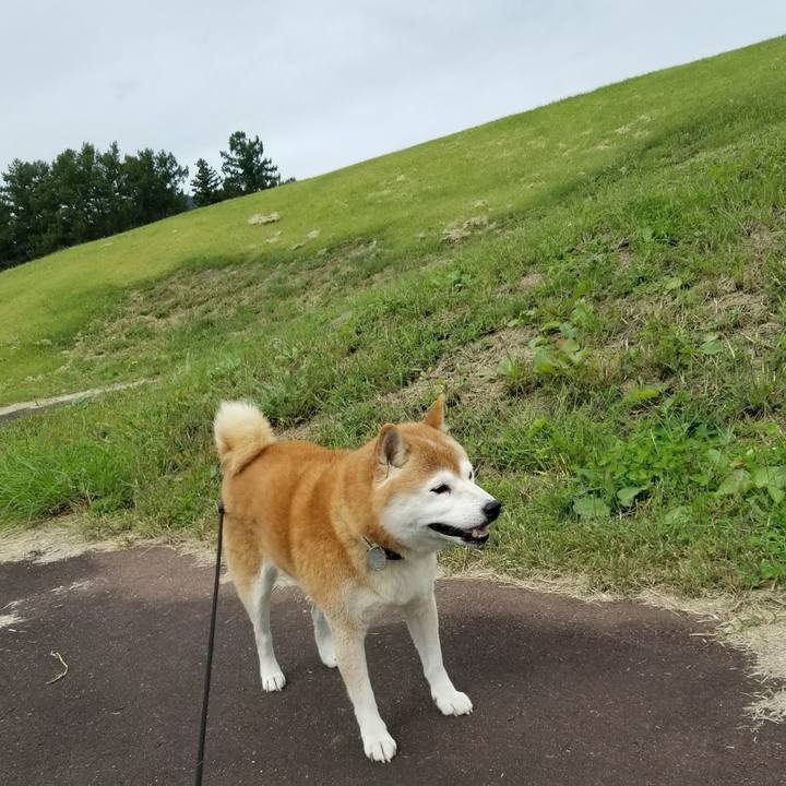 55e08713 9883 482d b278 a3f204c76868 1665285182521