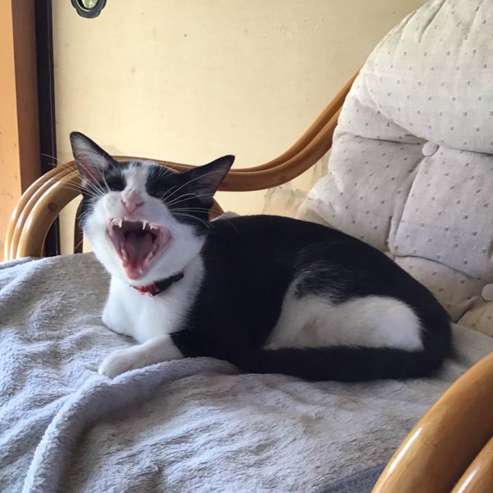 55e09776 6a22 48a5 b3d7 36338d0d6c53 1629277718929