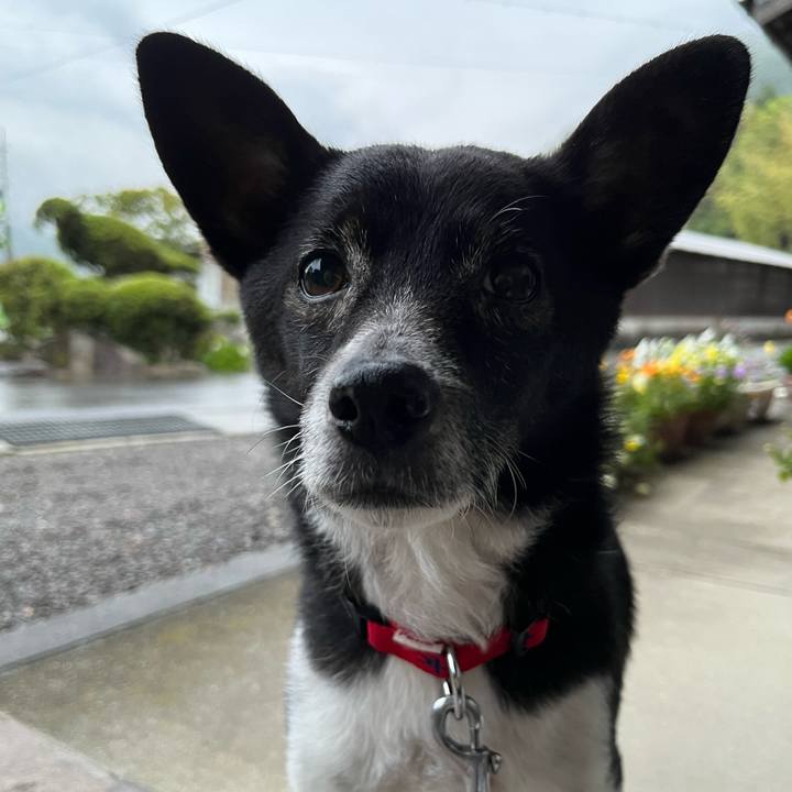 55e0cc68 cfe2 40a4 957f 0342b1577399 1684443310886