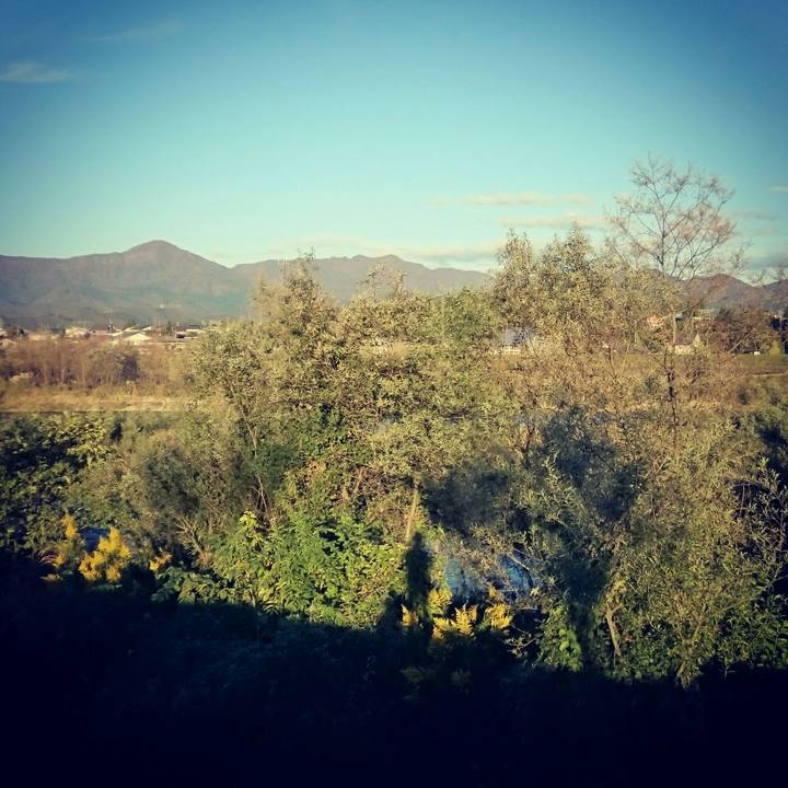 55e0d56a 2485 445b 9ac8 e29dd9d48b99 1540286273472