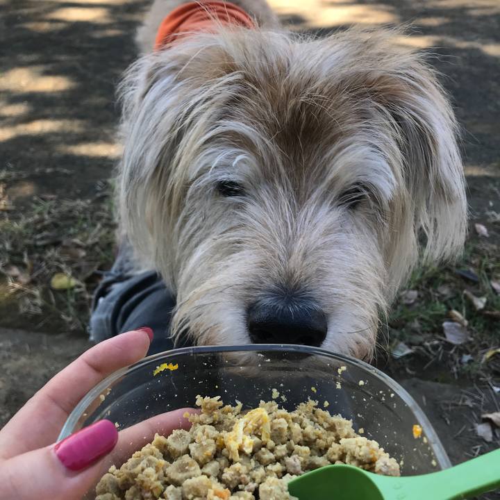 55e0d614 e654 49ad 9fa5 30d0b404b748 1636947569599