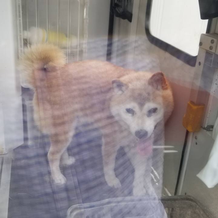 55e10cab 7f1c 4a72 a175 69573e0c207c 1721089652277