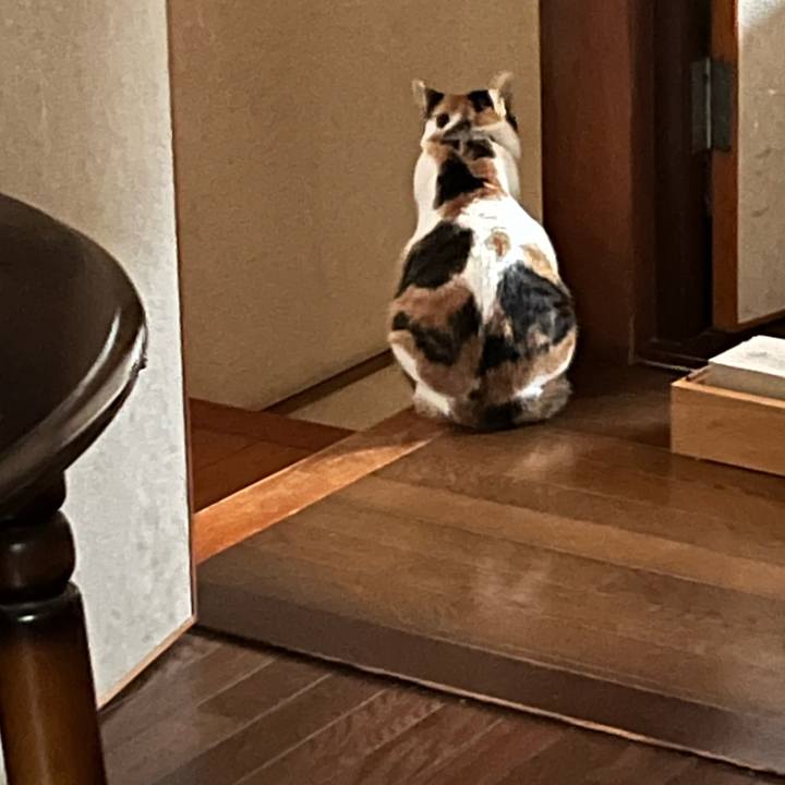 55e12b06 a946 4c78 9dc2 89bdd4a09afe 1763167377123