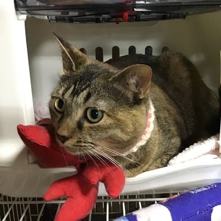 55e14e6c 34ff 44a9 9351 6f66fb60c504 1722855958163