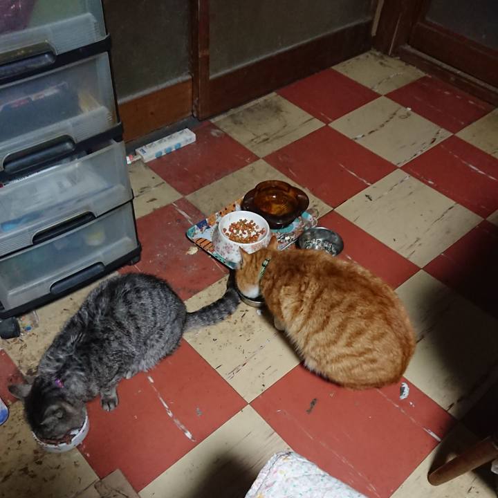 55e15f99 9fd0 4668 b9da 9b3edabd4d24 1582489530606