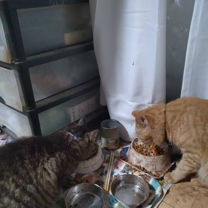 55e18418 a23f 4e88 9e9b 4f1f90efb7ca 1688766946434