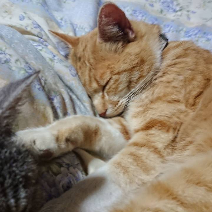 55e19160 ffd0 46f0 aebf 3d9333137637 1588855570089