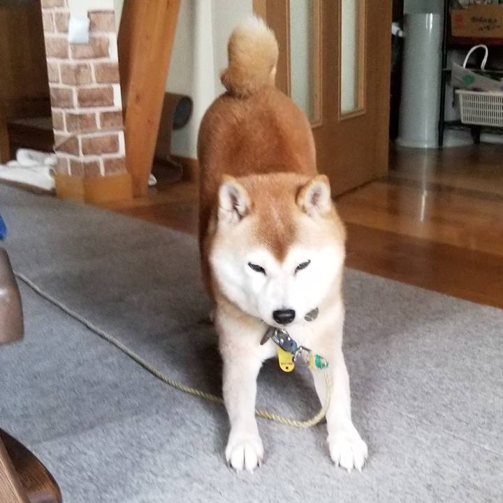 55e1b275 535d 438d b1c7 f2c01dc98810 1632981065058