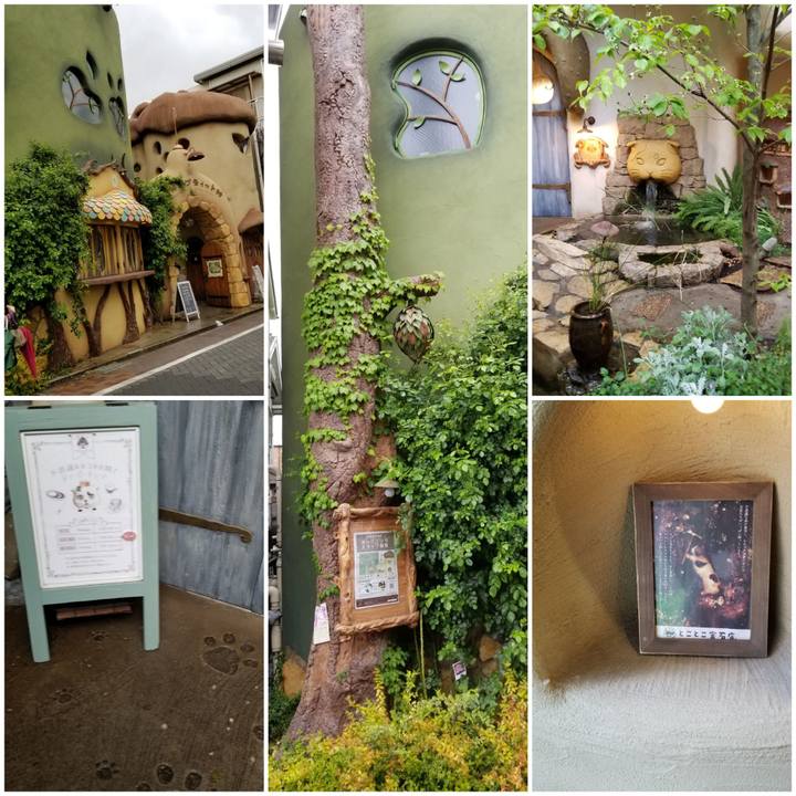 55e1d8dd 47ab 4e0d a08f d63a8d74e6e8 1559116106471