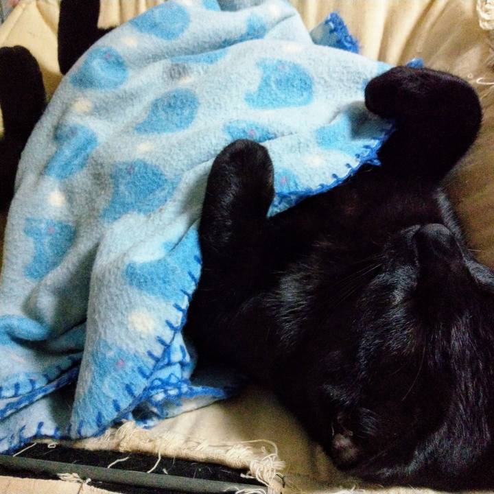 55e1e633 c4a2 4df0 b439 046d8bcb835d 1585443585076