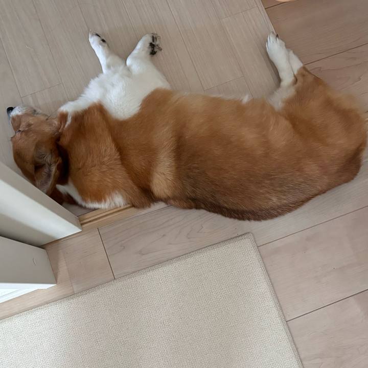 55e21651 aa3a 419a a760 9620451969b4 1750295685563