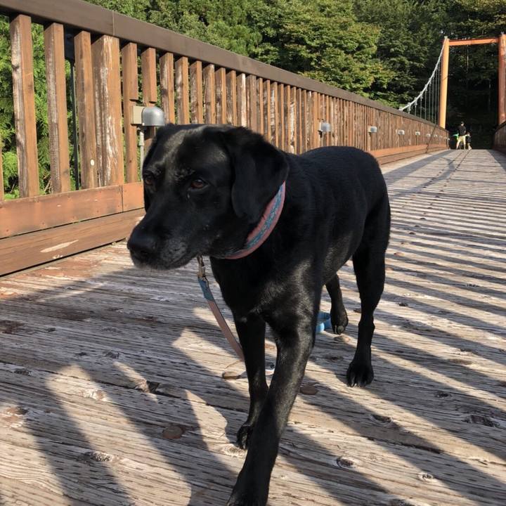 55e21eed 7cef 435a add6 82f204f1ed52 1534718162027