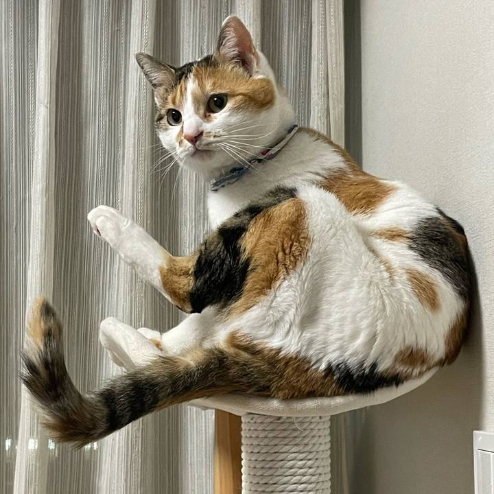 55e222ca c509 4c4f 9af5 f5ff2aae1d5f 1710939605588