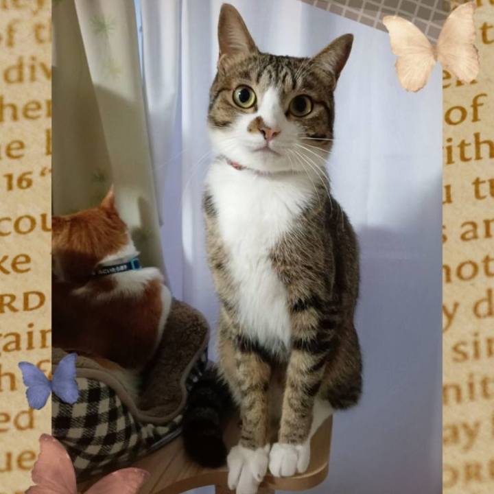 55e2379e 6f05 47b2 b5c5 8752d9393dea 1701381998828