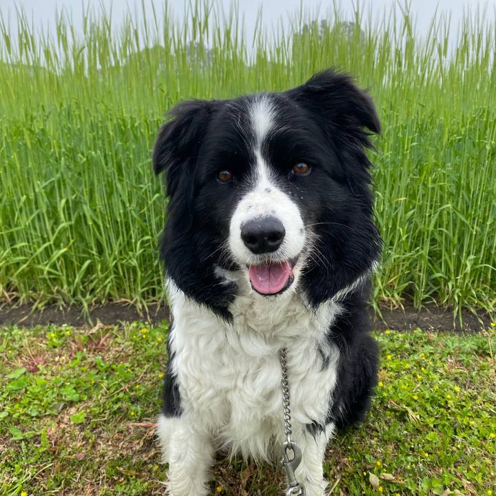 55e273de 5801 490a 97d9 90e14d9cc49a 1617062078130